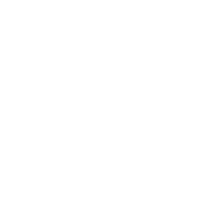 Komplet dywaników EVA do Suzuki Ignis 2003-2011- - obrys