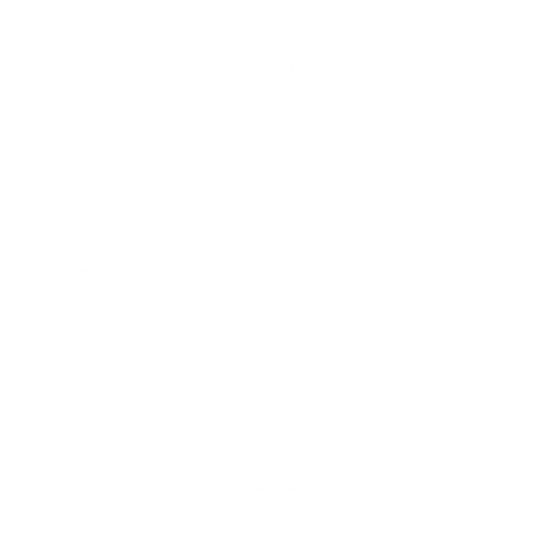 Komplet dywaników EVA do Volkswagen Polo VI 2017- - obrys