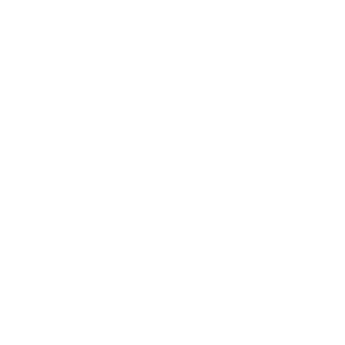 Dywanik EVA kierowcy do BMW 1 seria F70 2025- - obrys