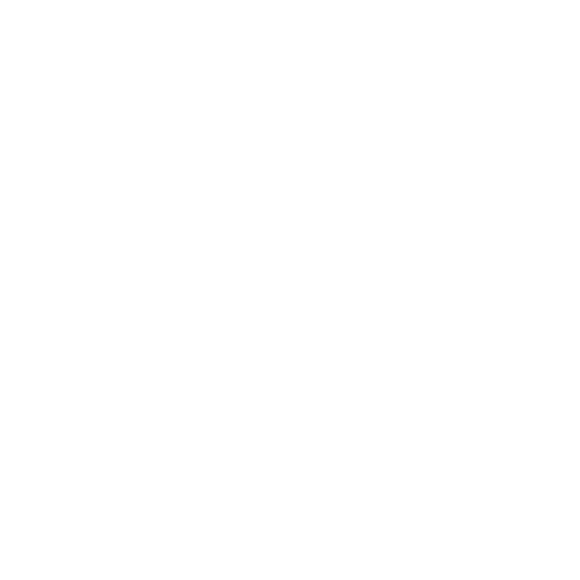 Dywaniki EVA do BMW X3 seria G45 2024