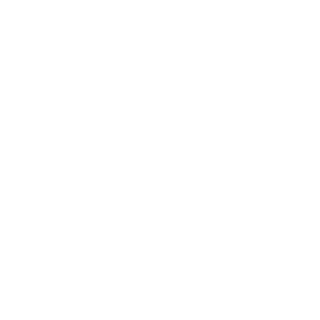 Dywaniki EVA do Ford Mustang Mach-E 2020