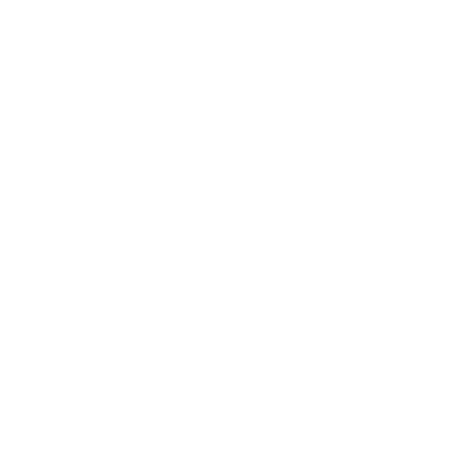EVA-Fußmatten für Audi A4 V B9 FL Limousine 2019