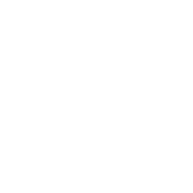 EVA-Fußmatten für Audi S6 C6 Limousine 2006-2010