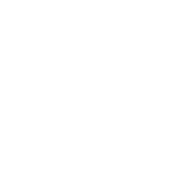 EVA-Fußmatten für Chrysler 300C II 2011-2023