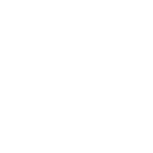 Dywanik EVA kierowcy do Chrysler 300C I 2005-2010 - obrys