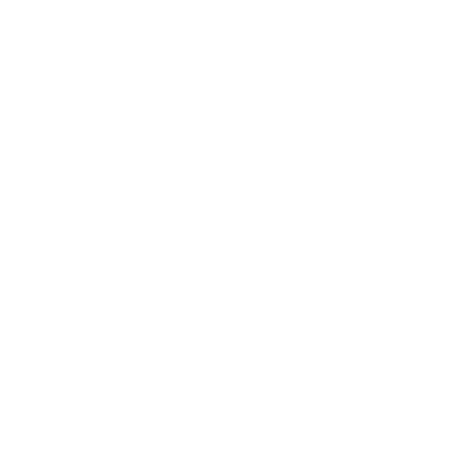 Dywaniki EVA do Chrysler 300C I 2005-2010