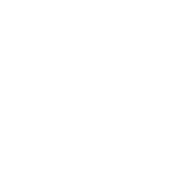 EVA-Fußmatten für Ford Mondeo MK2 1996-2000