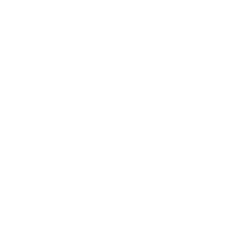 Dywanik EVA kierowcy do Lexus LS III 2000-2006 - obrys