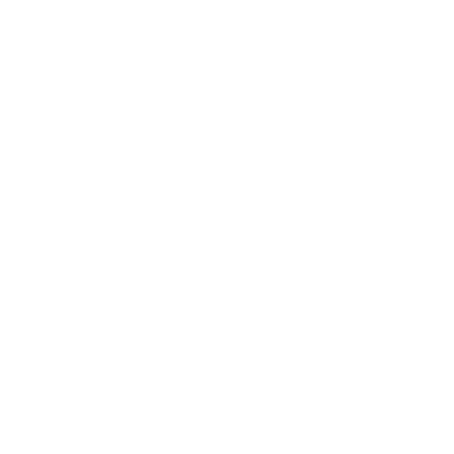 Dywaniki EVA do Nissan NV300 2016-2021